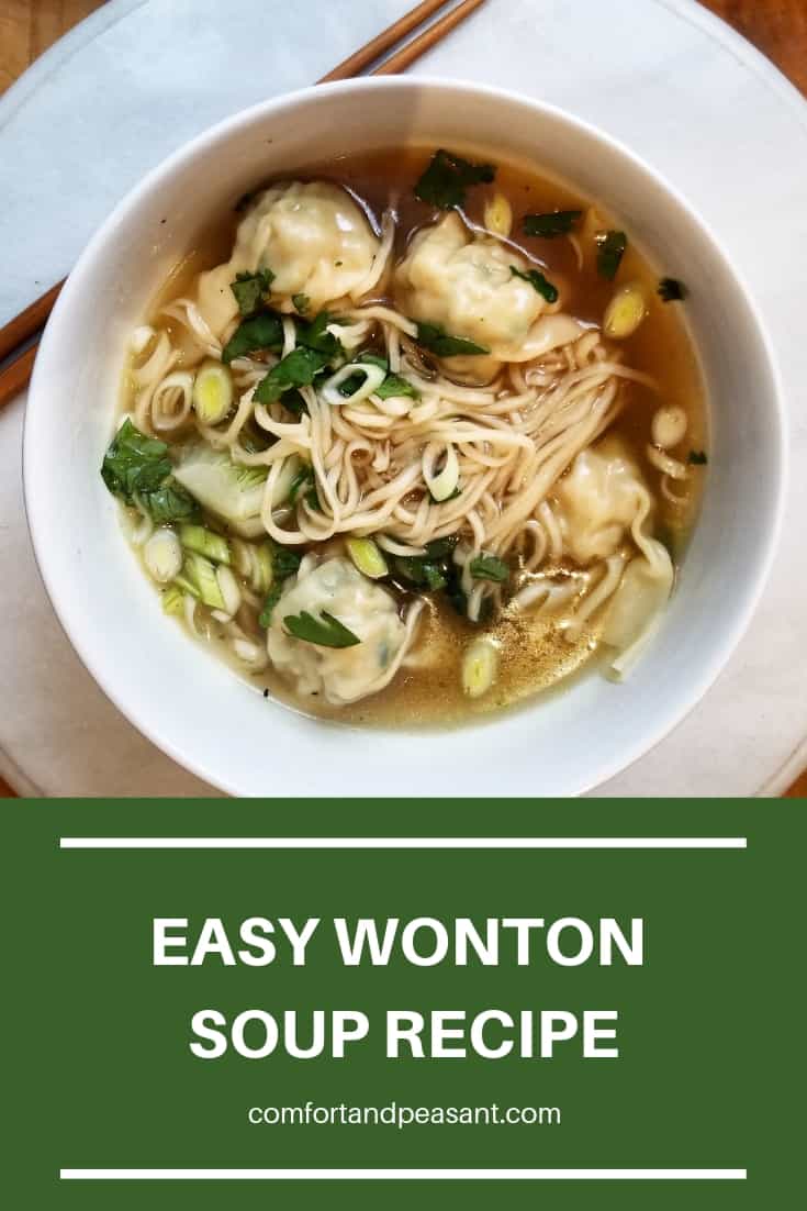 How to Make a Quick & Easy Wonton Soup - FeedMi Recipes