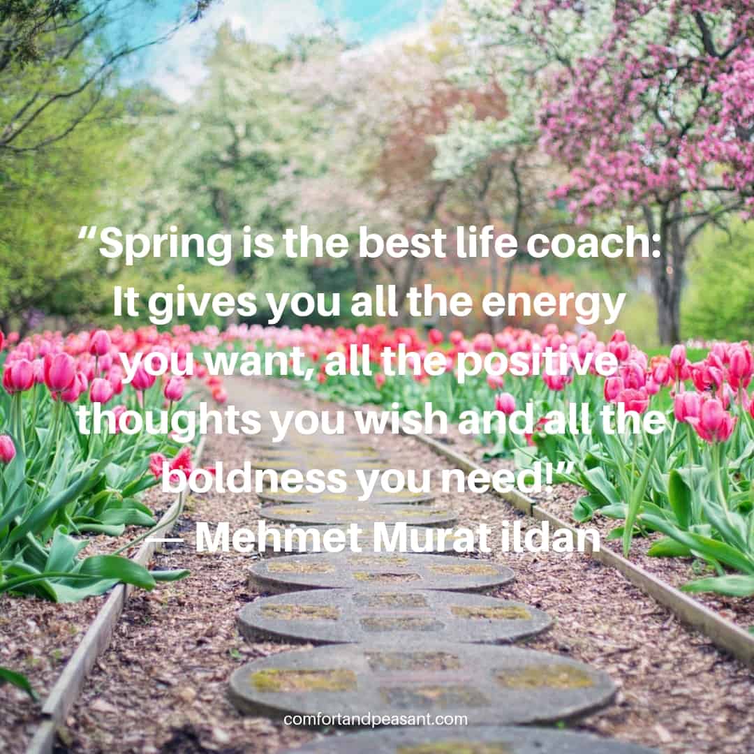 20 INSPIRATIONAL QUOTES FOR SPRING ~ Comfort & Peasant
