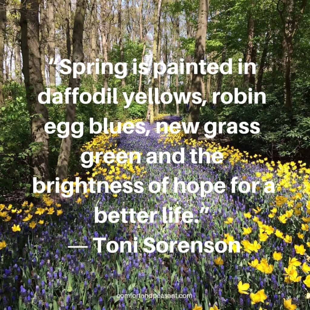 20 INSPIRATIONAL QUOTES FOR SPRING ~ Comfort & Peasant