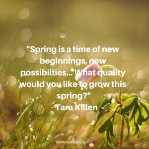 20 INSPIRATIONAL QUOTES FOR SPRING - Comfort & Peasant