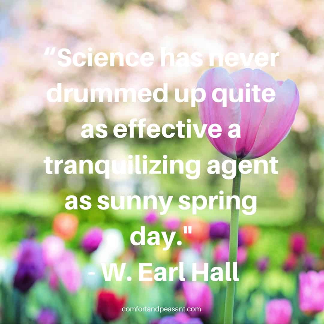 sunny spring day quotes
